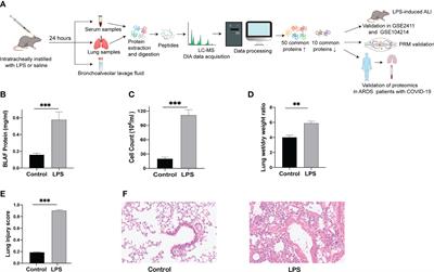 Integrative proteomic profiling of lung tissues and blood in acute respiratory distress syndrome